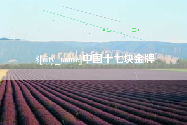 海门中国十七块金牌