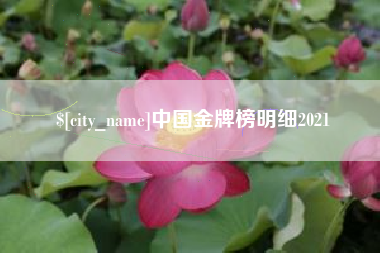 海门中国金牌榜明细2021