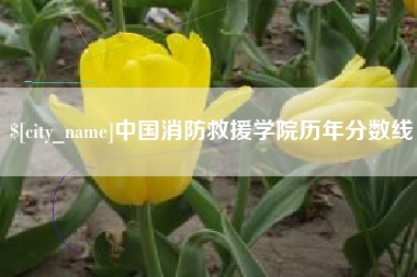 海门中国消防救援学院历年分数线