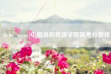 海门中国消防救援学院高考分数线