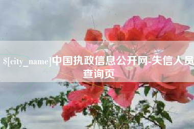 海门中国执政信息公开网-失信人员查询页