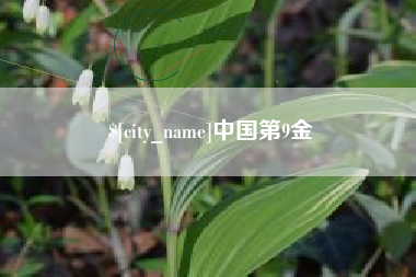 海门中国第9金