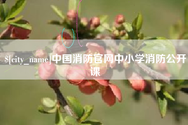 海门中国消防官网中小学消防公开课