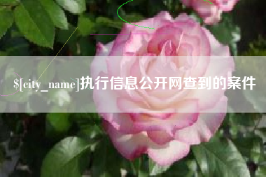 海门执行信息公开网查到的案件