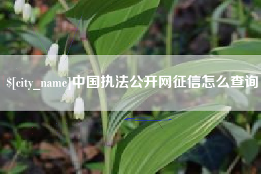 海门中国执法公开网征信怎么查询