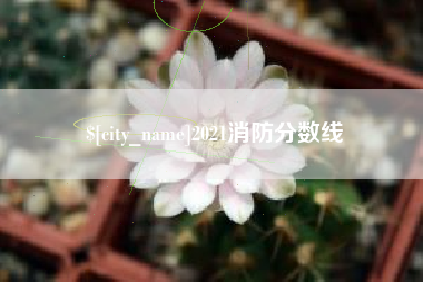 海门2021消防分数线