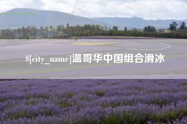 海门温哥华中国组合滑冰