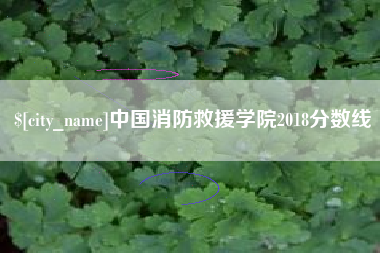 海门中国消防救援学院2018分数线