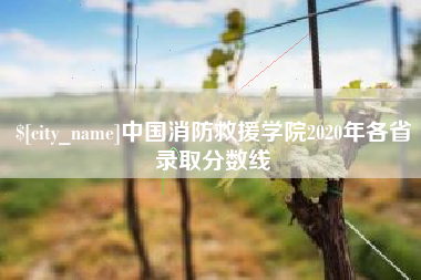 海门中国消防救援学院2020年各省录取分数线