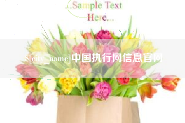 海门中国执行网信息官网