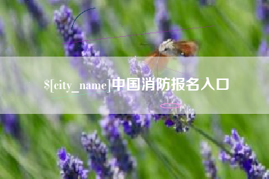 海门中国消防报名入口