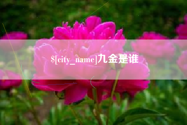 海门九金是谁