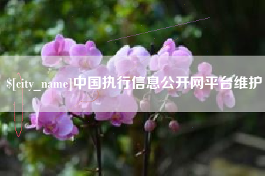 海门中国执行信息公开网平台维护