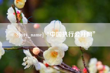 海门“中国执行公开网”