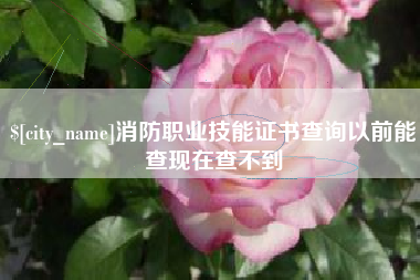 海门消防职业技能证书查询以前能查现在查不到