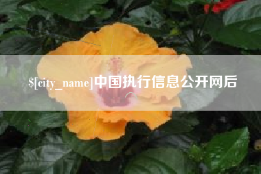 海门中国执行信息公开网后