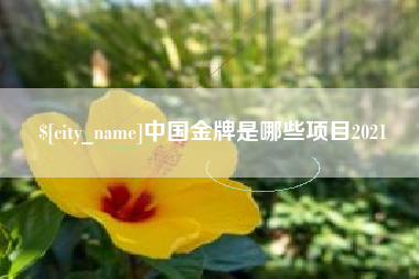 海门中国金牌是哪些项目2021