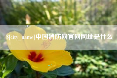 海门中国消防网官网网址是什么