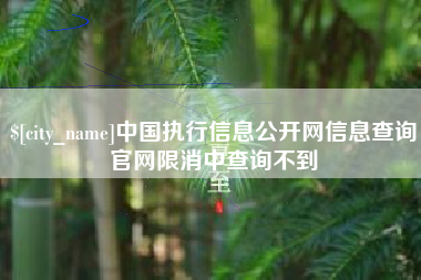 海门中国执行信息公开网信息查询官网限消中查询不到