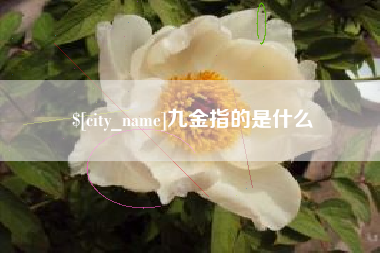 海门九金指的是什么