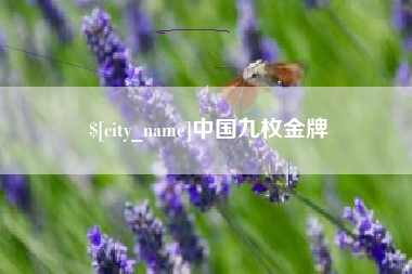海门中国九枚金牌