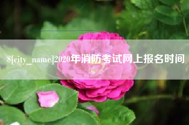 海门2020年消防考试网上报名时间