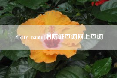 海门消防证查询网上查询