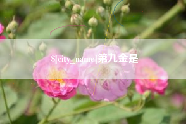 海门第九金是