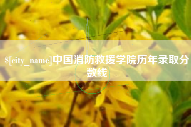 海门中国消防救援学院历年录取分数线