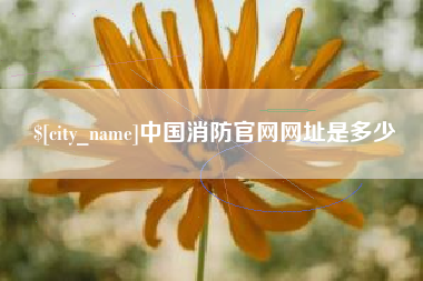 海门中国消防官网网址是多少