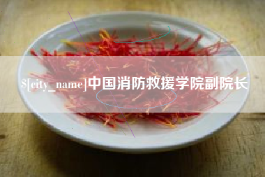 海门中国消防救援学院副院长