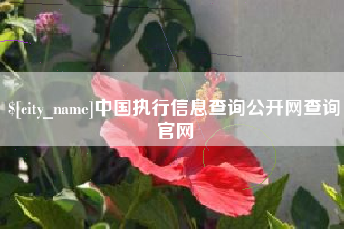 海门中国执行信息查询公开网查询官网