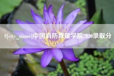海门中国消防救援学院2020录取分