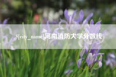 海门河南消防大学分数线