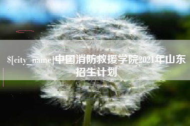 海门中国消防救援学院2021年山东招生计划