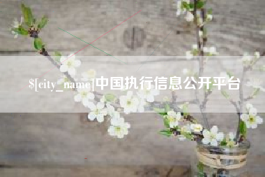 海门中国执行信息公开平台