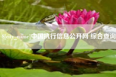 海门中国执行信息公开网 综合查询