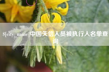 海门中国失信人员被执行人名单查询