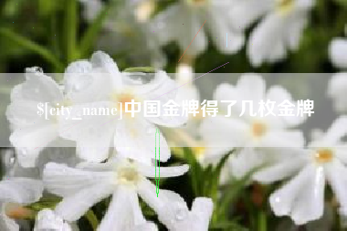 海门中国金牌得了几枚金牌