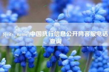 海门中国执行信息公开网客服电话查询