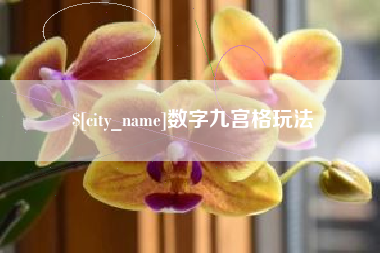 海门数字九宫格玩法