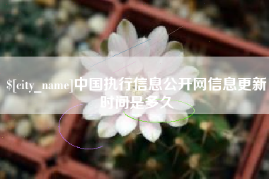 海门中国执行信息公开网信息更新时间是多久