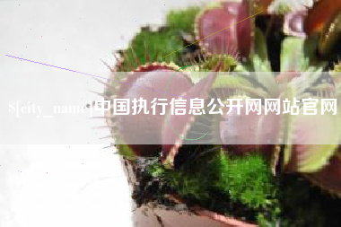 海门中国执行信息公开网网站官网