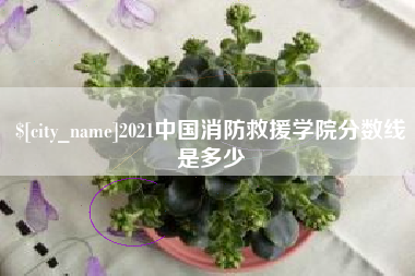海门2021中国消防救援学院分数线是多少