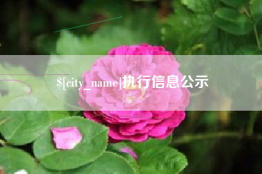 海门执行信息公示