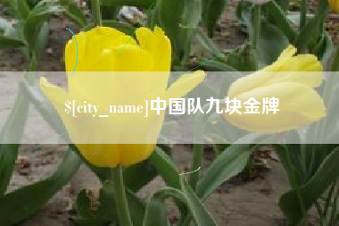 海门中国队九块金牌