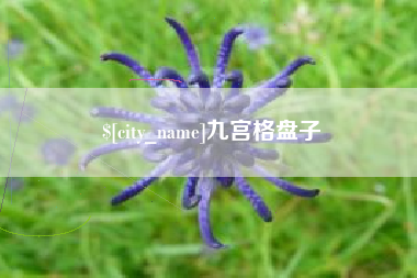 海门九宫格盘子