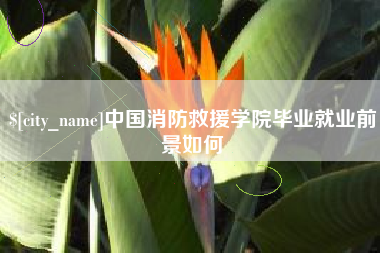 海门中国消防救援学院毕业就业前景如何