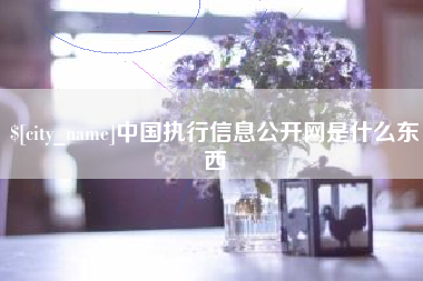 海门中国执行信息公开网是什么东西