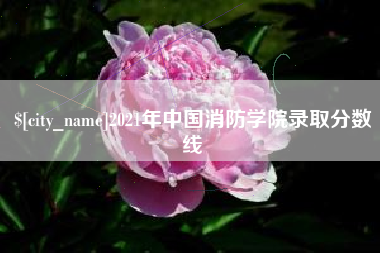 海门2021年中国消防学院录取分数线